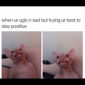 Meet your Posher, Hailey